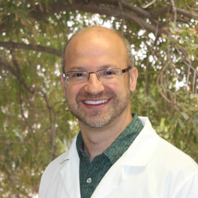 Dr. Konstantinos Proussaefs, dentist at Kosta Smiles in Simi Valley